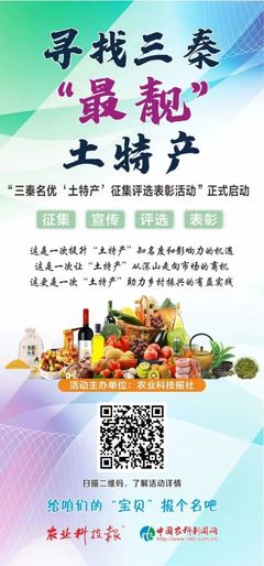 三秦“最靓”土特产展播（三十四） 匠心孕育，淳朴天然的秦风佳品