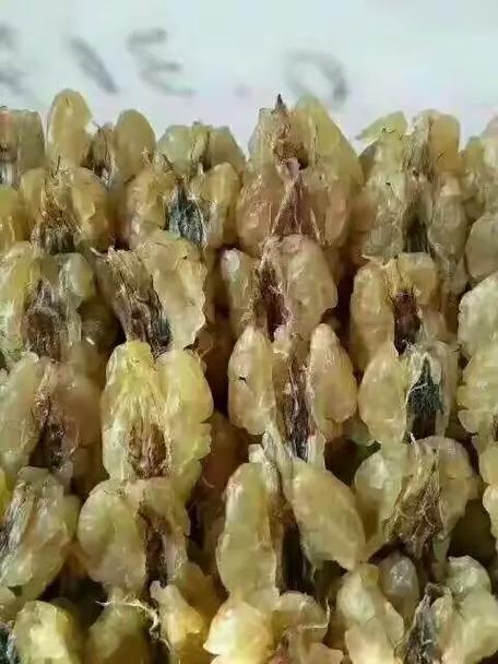 大山深处的土特产品