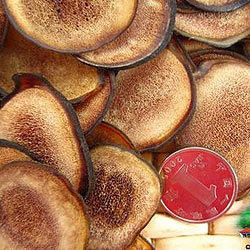 鹿茸粉片 - 山里人家土特产品 - 桦甸市山里人家参茸特产经销